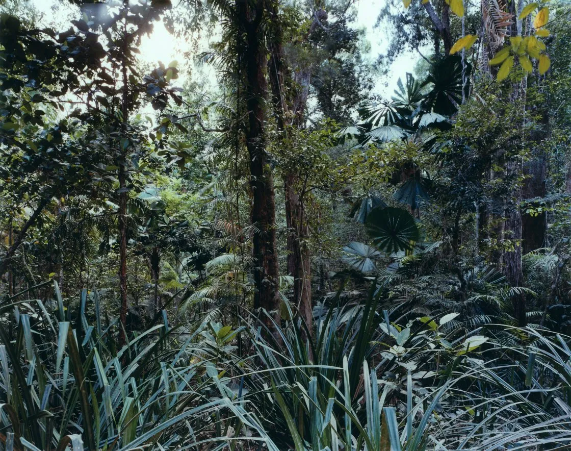 struth_paradise